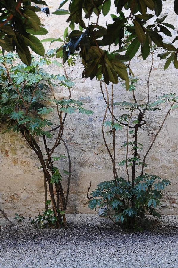 Residenza Branca Della Ripa Apartamento